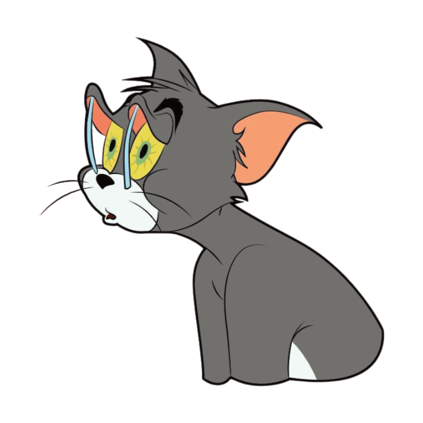ستيكر فينيل Tom and Jerry 1 من T33