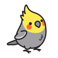 ستيكر فينيل Cockatiel bird من T33