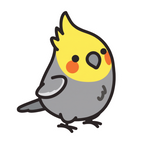 ستيكر فينيل Cockatiel bird من T33