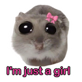 ستيكر فينيل I am just a girl من T33
