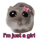 ستيكر فينيل I am just a girl من T33