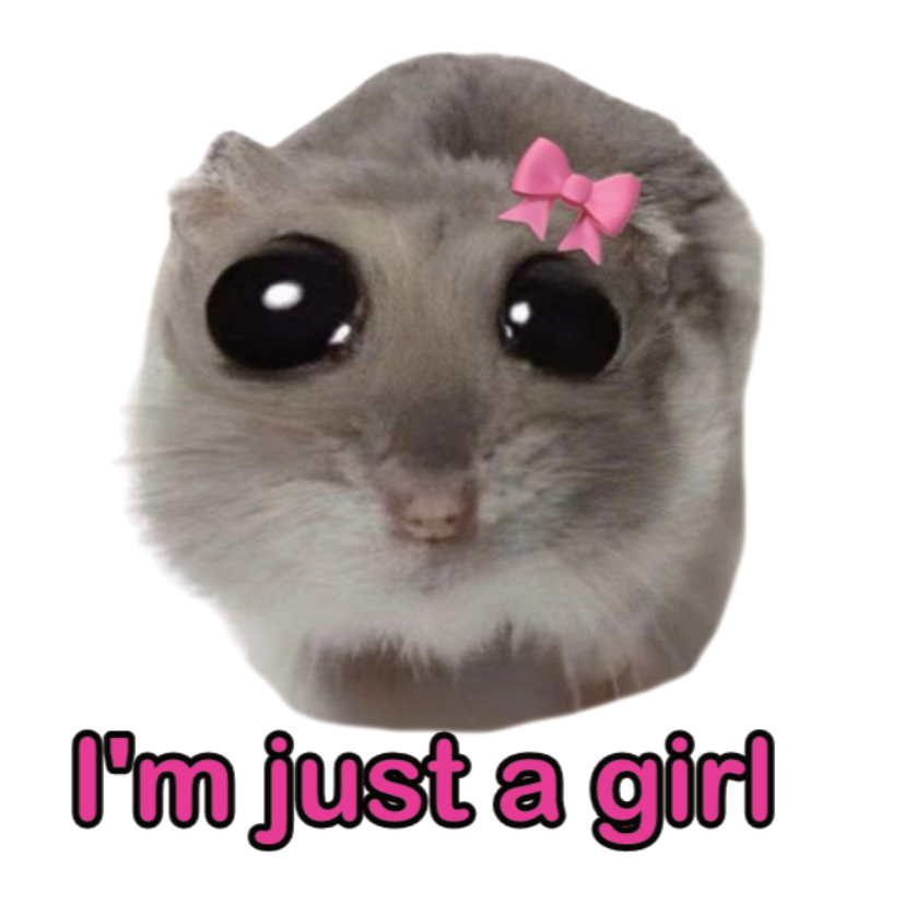 ستيكر فينيل I am just a girl من T33