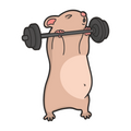 ستيكر فينيل GYM 1 من T33