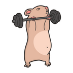 ستيكر فينيل GYM 1 من T33