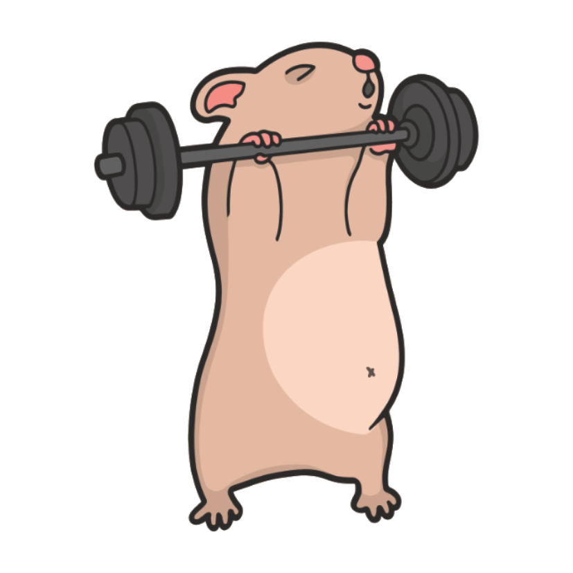 ستيكر فينيل GYM 1 من T33