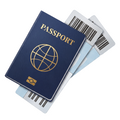 ستيكر فينيل Passport من T33