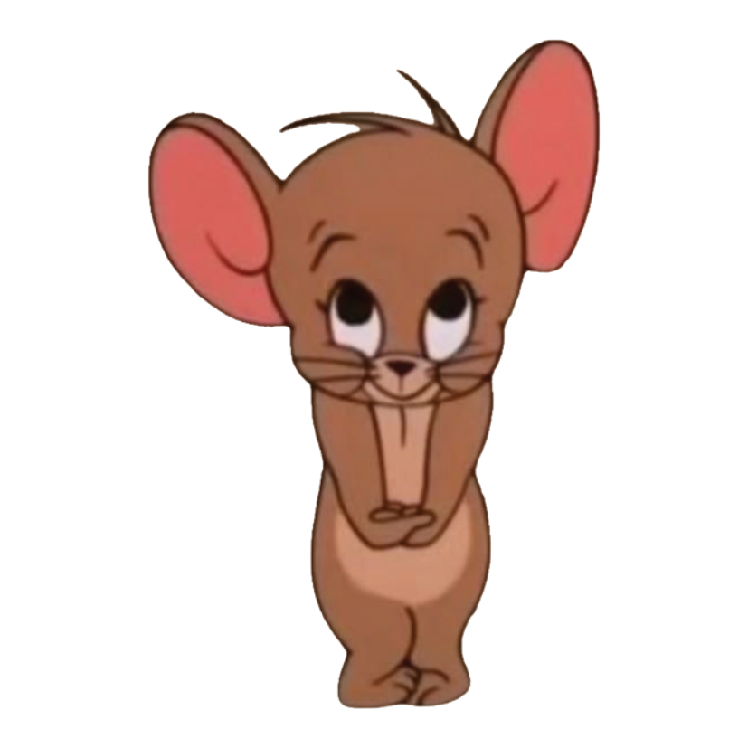 ستيكر فينيل Tom and Jerry 2 من T33